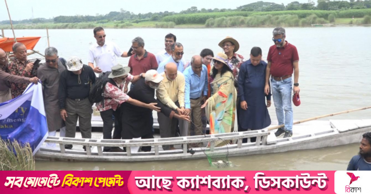ময়মনসিংহে ব্রহ্মপুত্র নদে এক লাখ মাছের পোনা অবমুক্ত